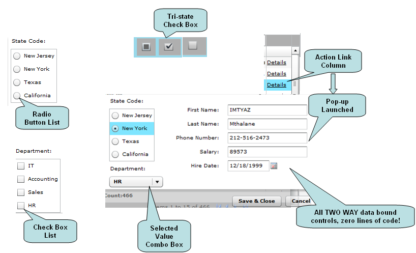 The image below depicts the Flex Advanced DataGrid with support for filter, page and Select All!